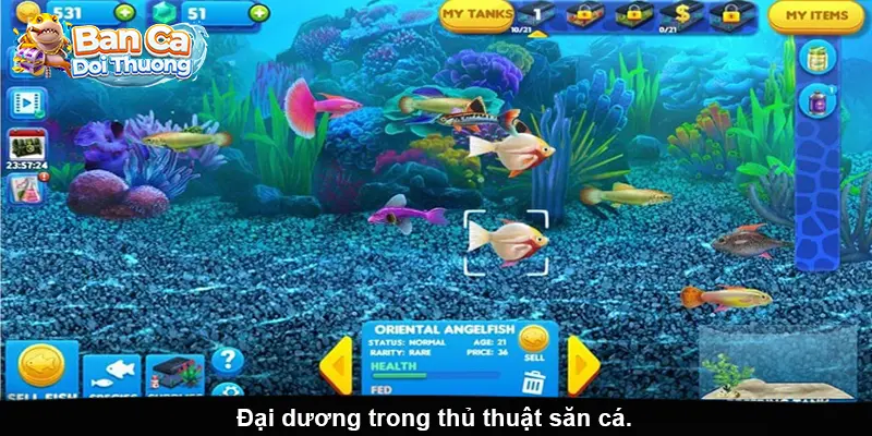 Đại dương rực rỡ trong chiến thuật săn cá ăn xu.